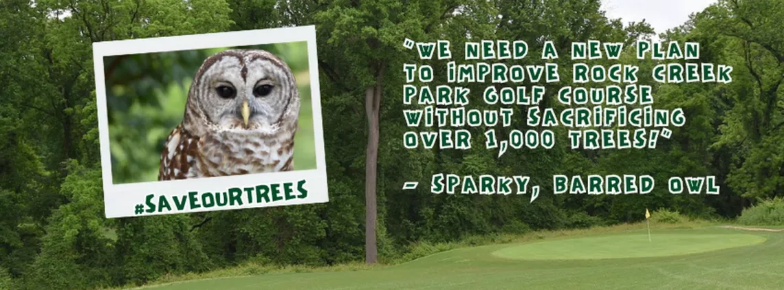 photo of an owl with text