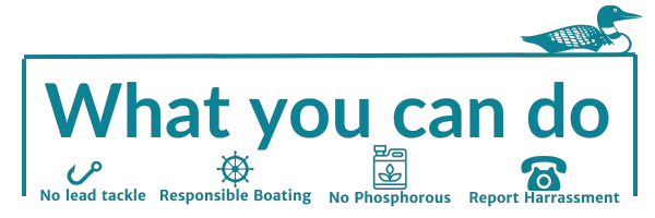 What you can do written in a box with a look on top and images of a fishing hook, boat wheel, fertilizer, and telephone