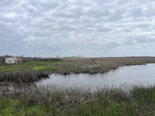 Near the Calcasieu Ship Channel