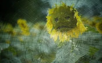 sunflower with frowny face