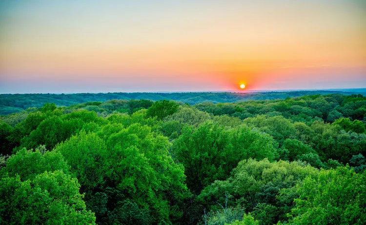 Sunset over the Deam Wilderness Area - the trees are green and stretch for miles