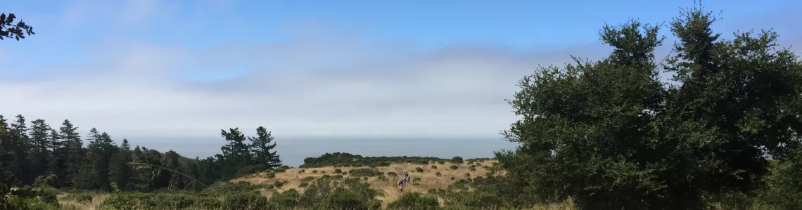 Wide view of coastal landscape, partly cloudy sky