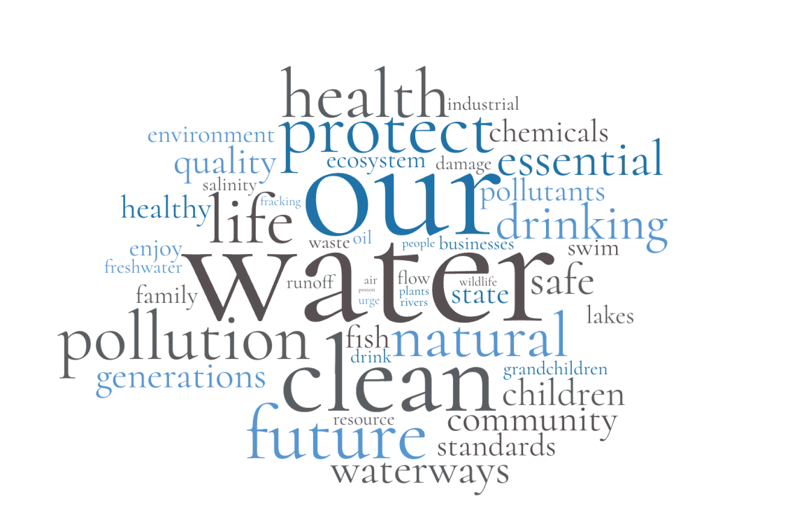 Texas Surface Water Quality Standards Action Alert Word Cloud