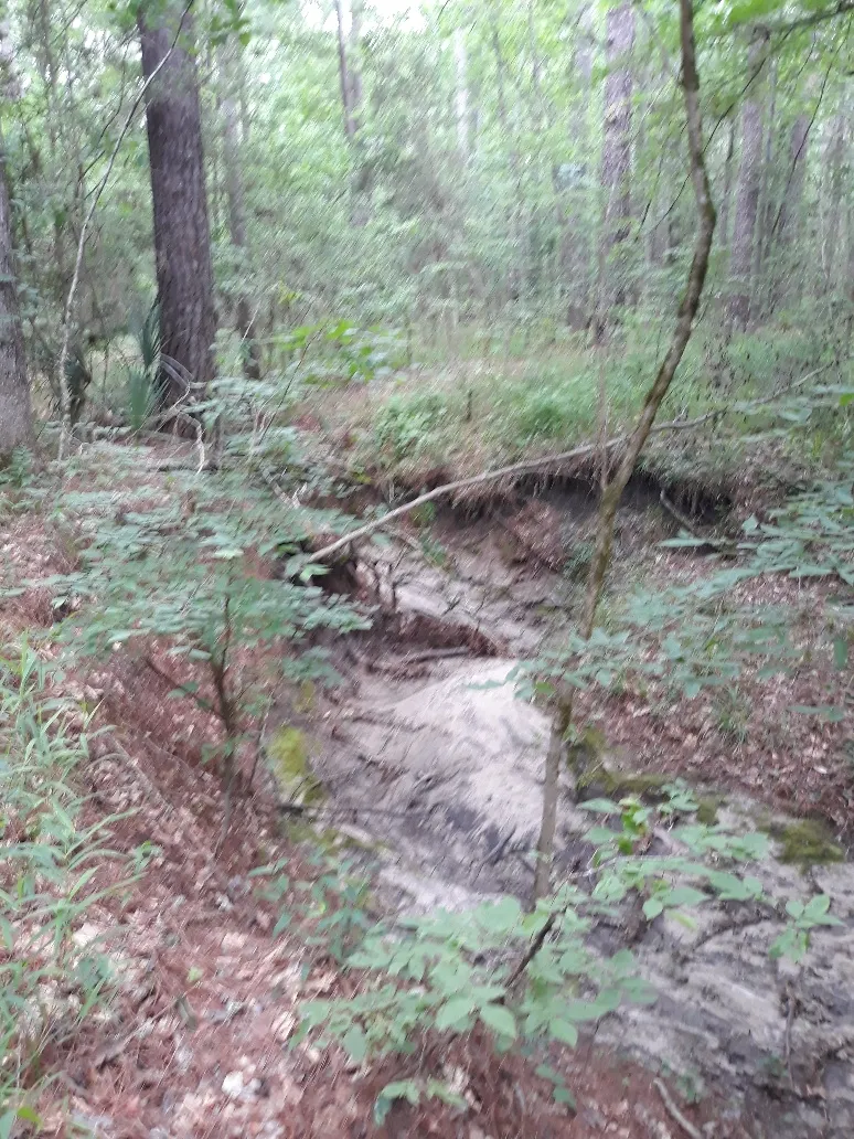 Eroded path