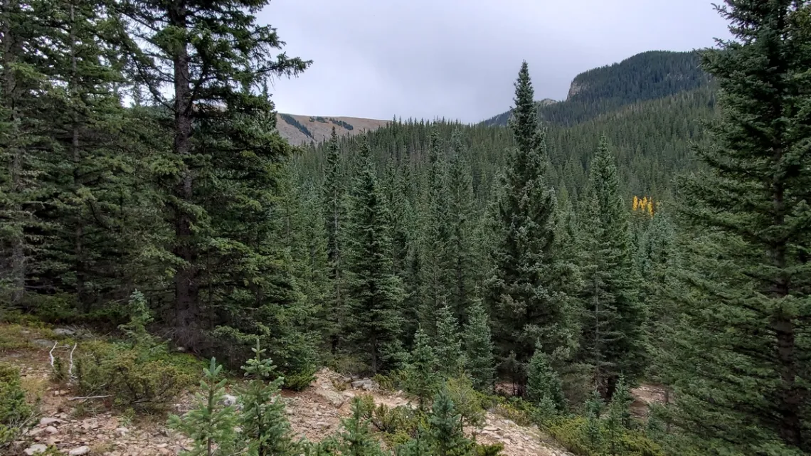 On the loop from Ski Santa Fe