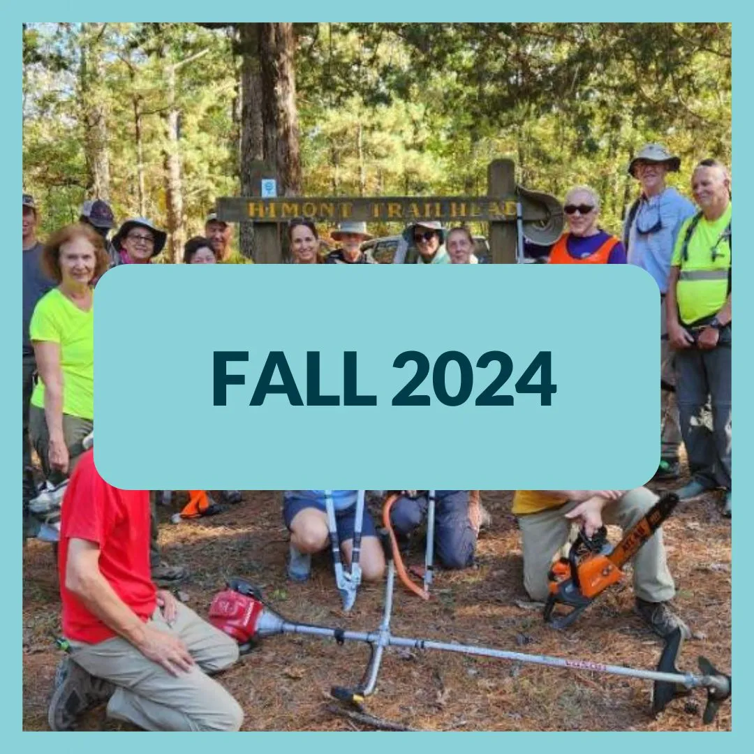 Fall 2024 Icon