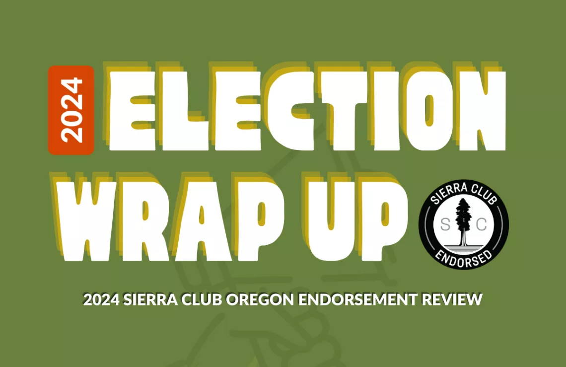 2024 Election wrap up