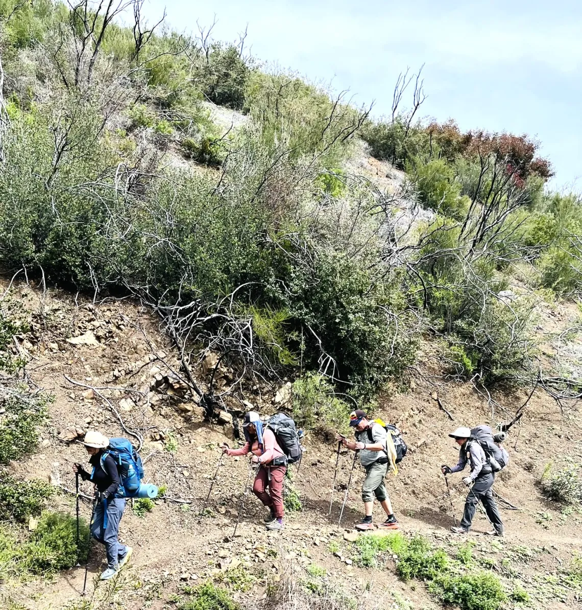 Four backpackers