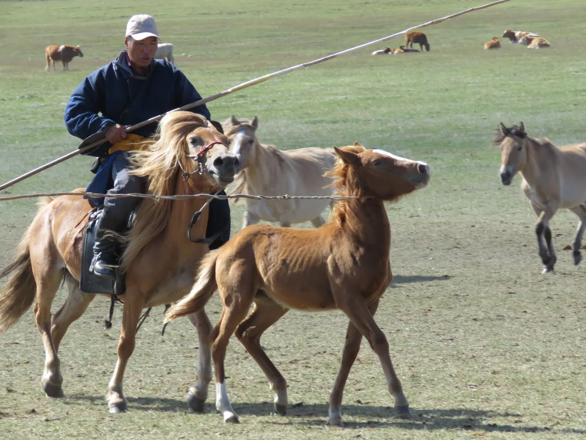 Mongolia