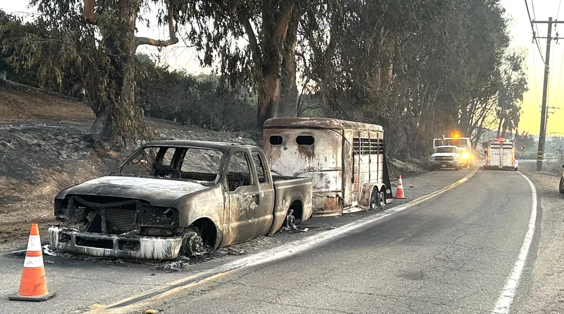 Mountain Fire Damage