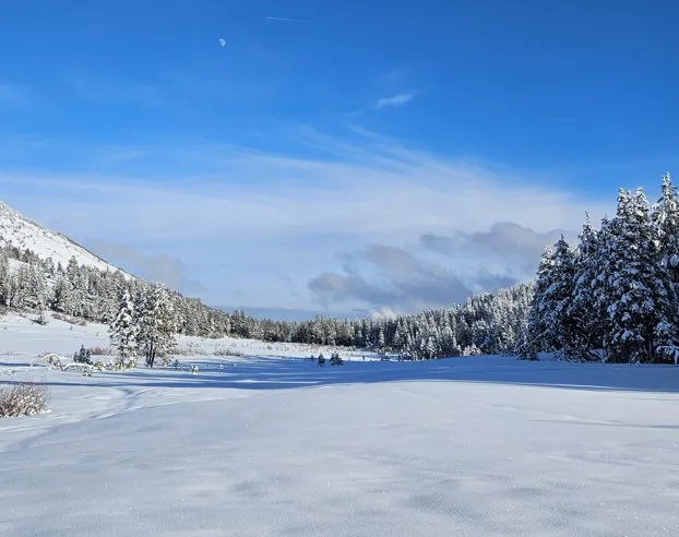 Beginning of Chickadee Snowshoe