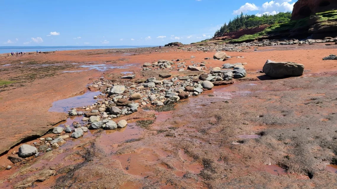 tidal flat with rocks