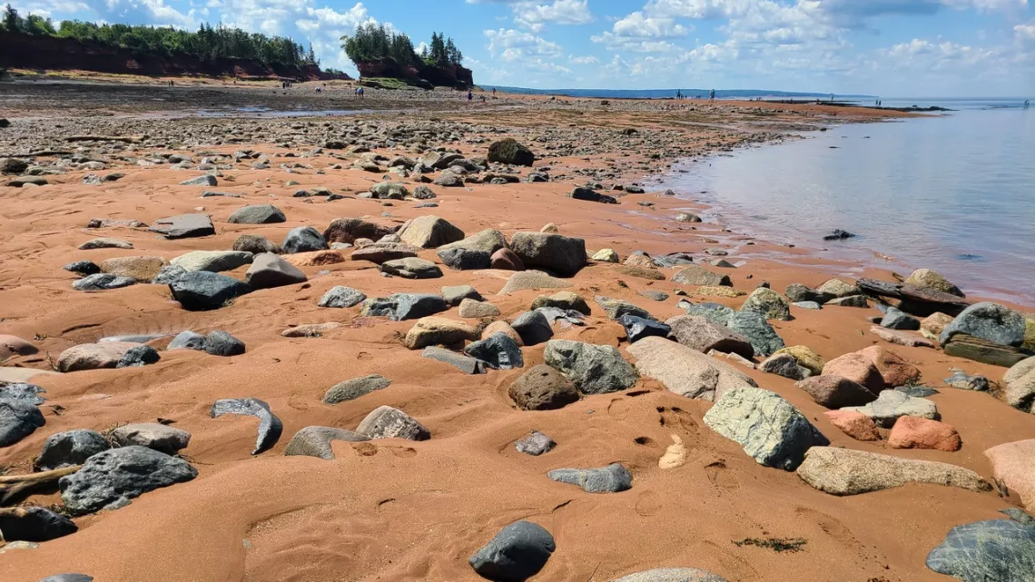 rocks and sand at low tide