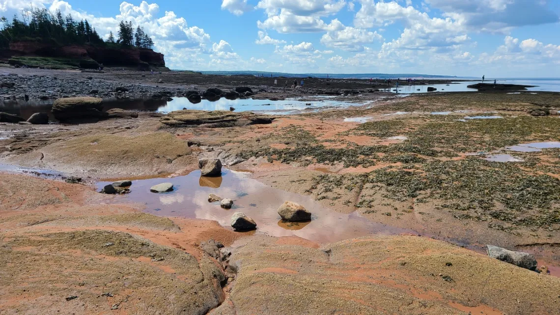 tidal flat low tide