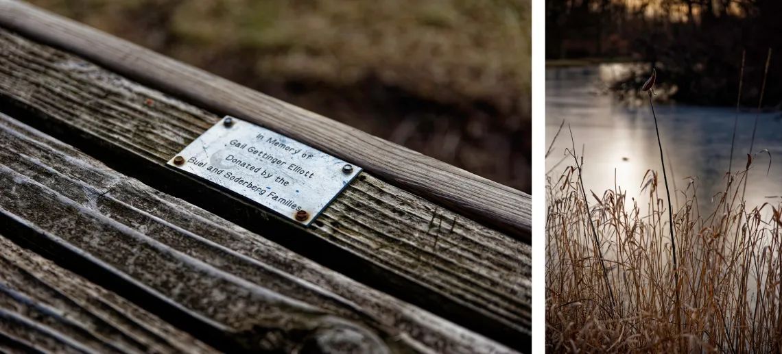 A diptych showing a small dedication plaque on wood, and a water body with the dawn sun glistening
