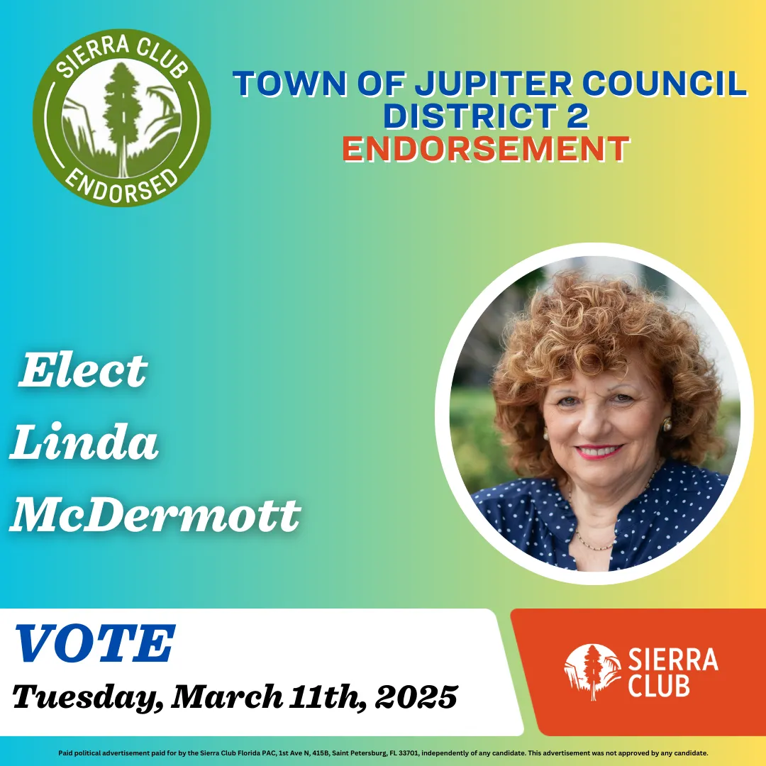 Headshot of Linda McDermont for Election