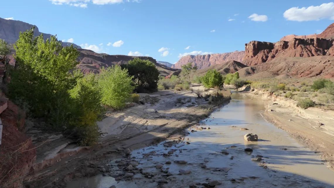 Looking N along the Paria River in Vermilion Cliffs National Monument,
