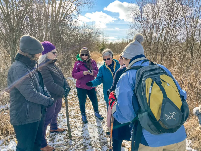 Fallen Timbers