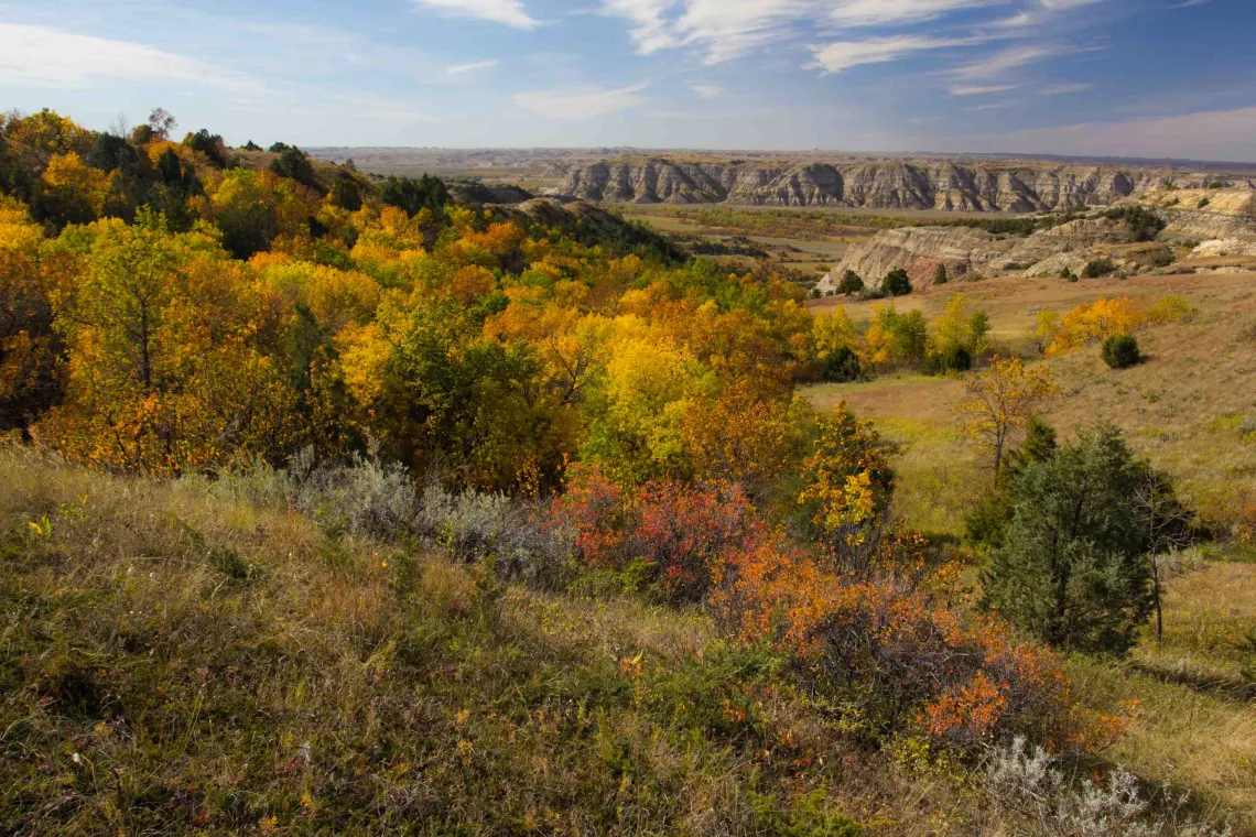 View in the Proposed MDHNM