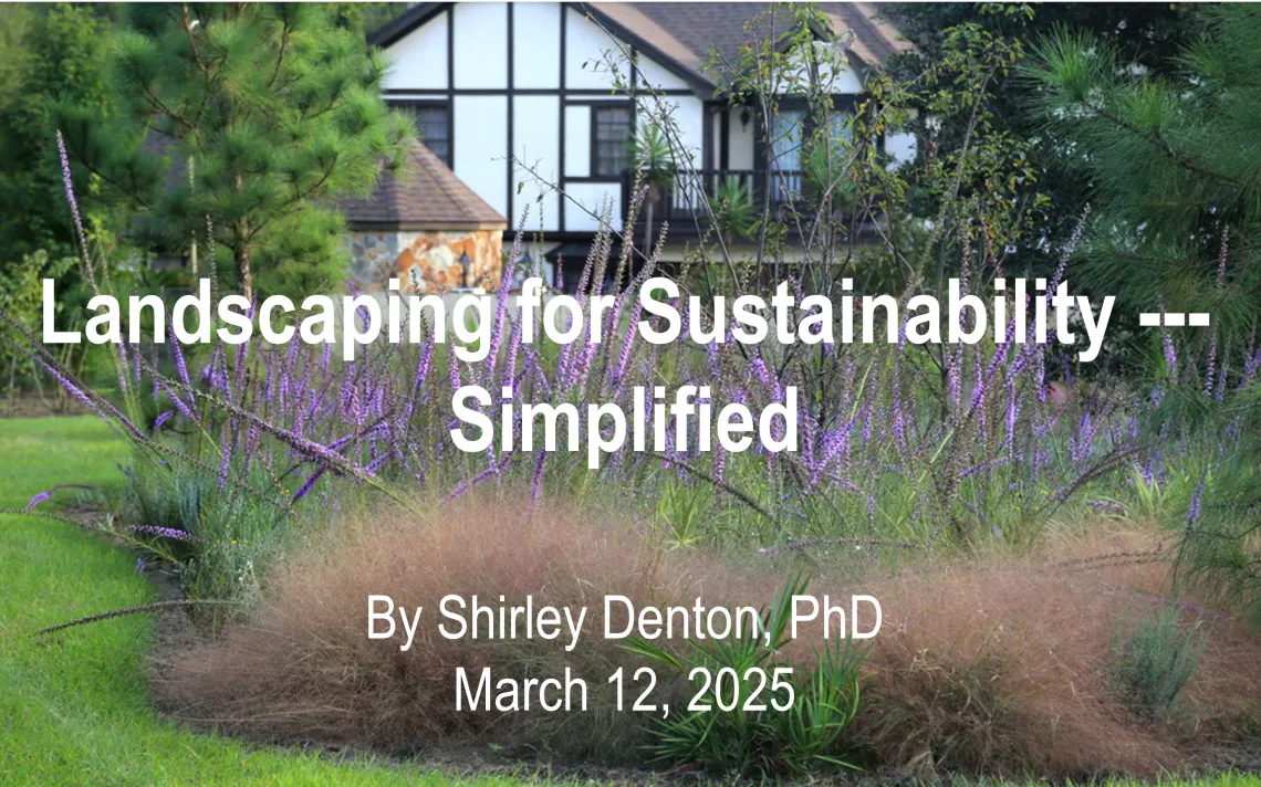 Sustainability