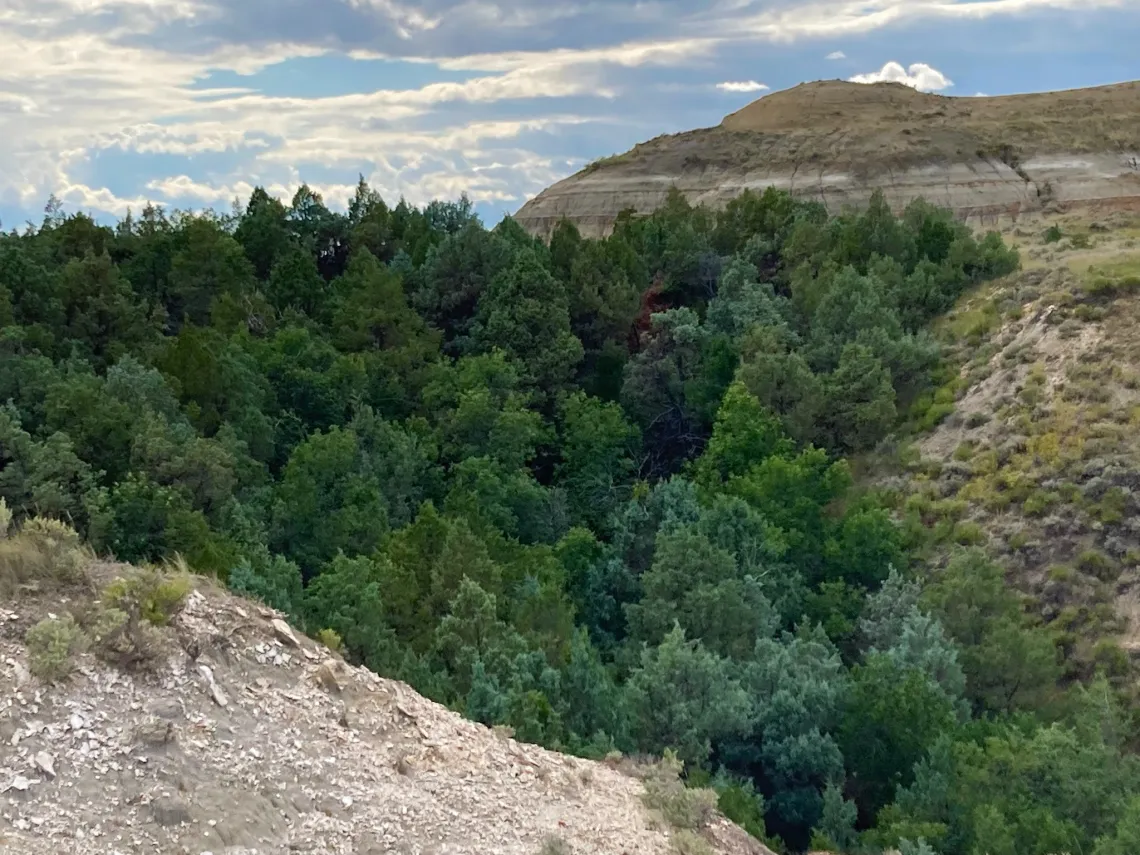 Mike’s Creek Unit