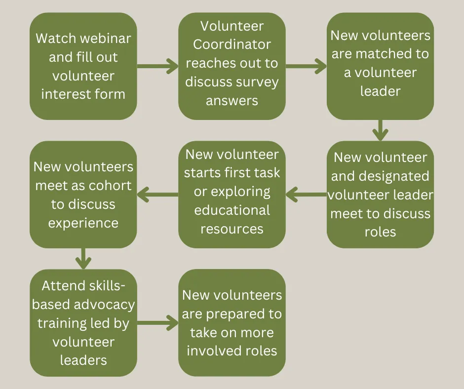 Bay Alive New Volunteer flow