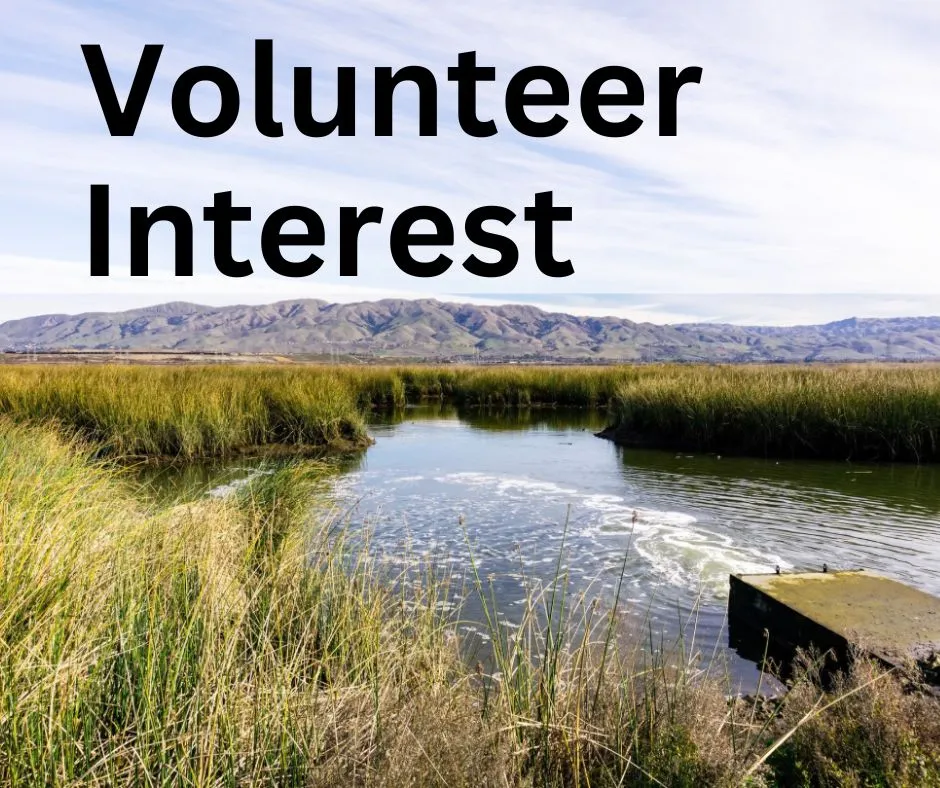 Volunteer Interest Form