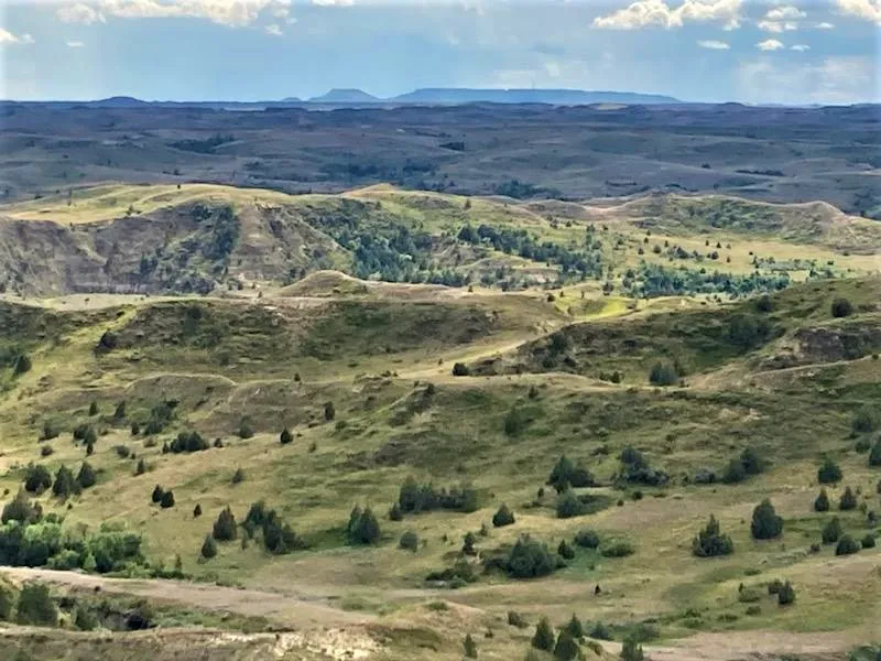 Wannagan Unit with Bullion Butte in the background