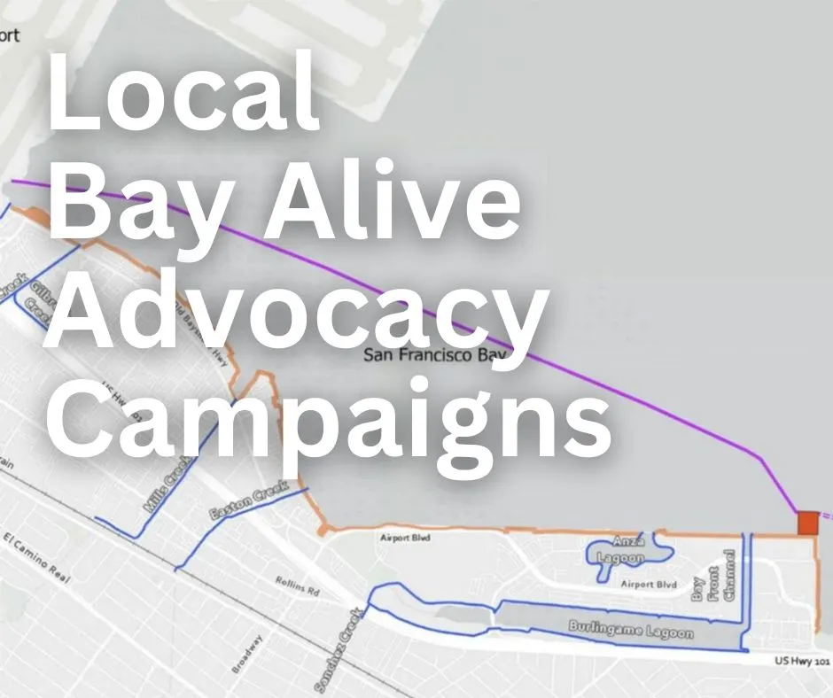 Local Bay Alive Advocacy Campaigns