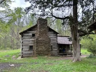BBBS - Smokies Hike after Appalachian Bear Rescue Visit