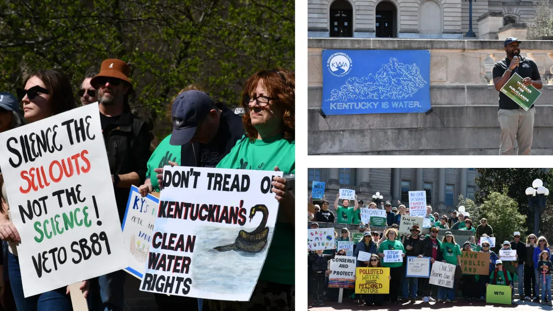 photo collage of people holding signs in front of kentucky state capitol