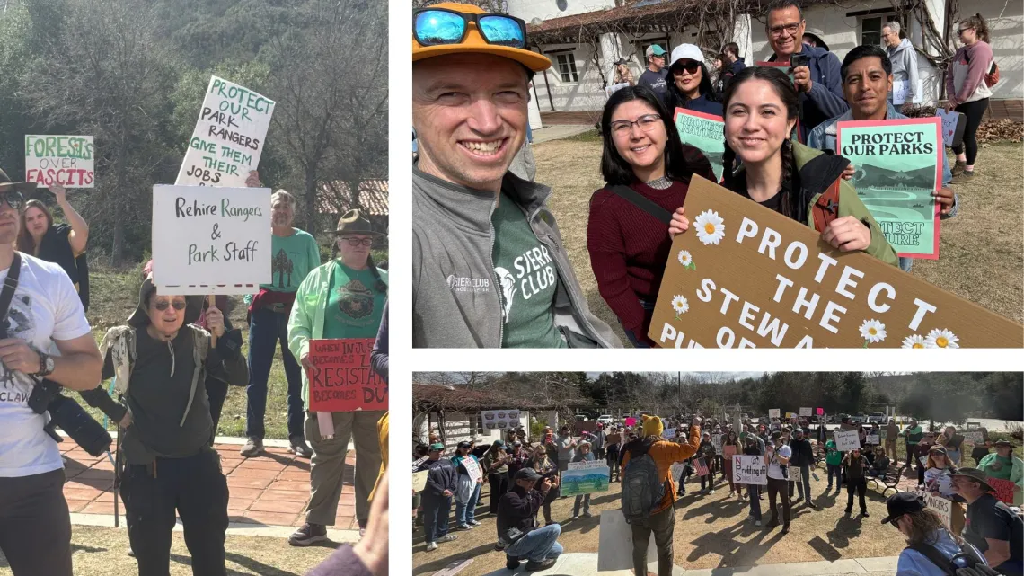 collage of photos of people holding signs