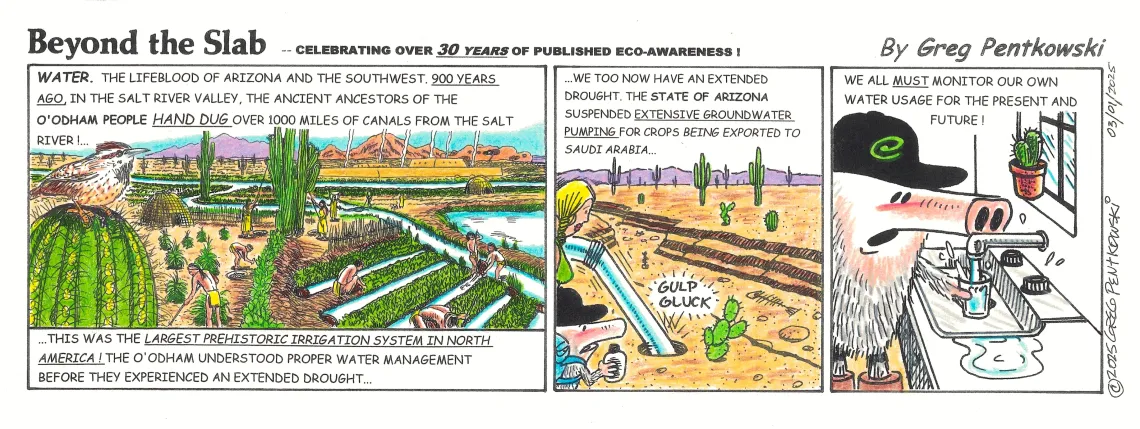 a comic strip depicting water use