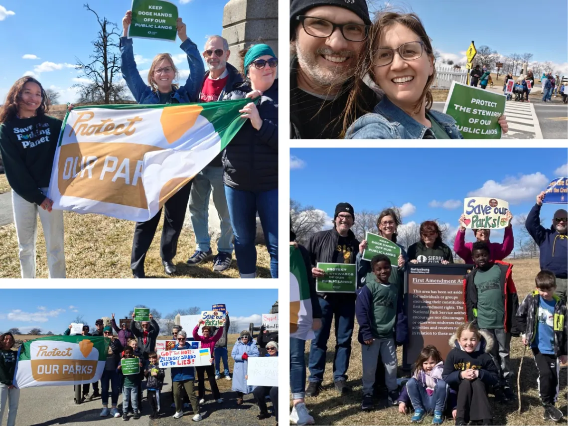 A group of people holding signs to protect parks and protect public land. 