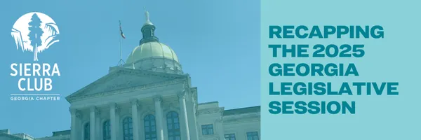 Recapping the 2025 Georgia Legislative Session