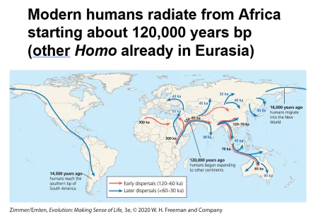 human migration, j mckinnon slide