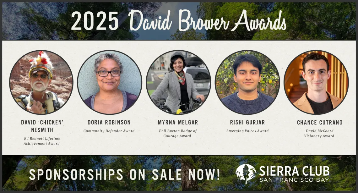 David Brower Awards