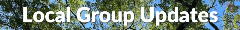 Local Group Updates