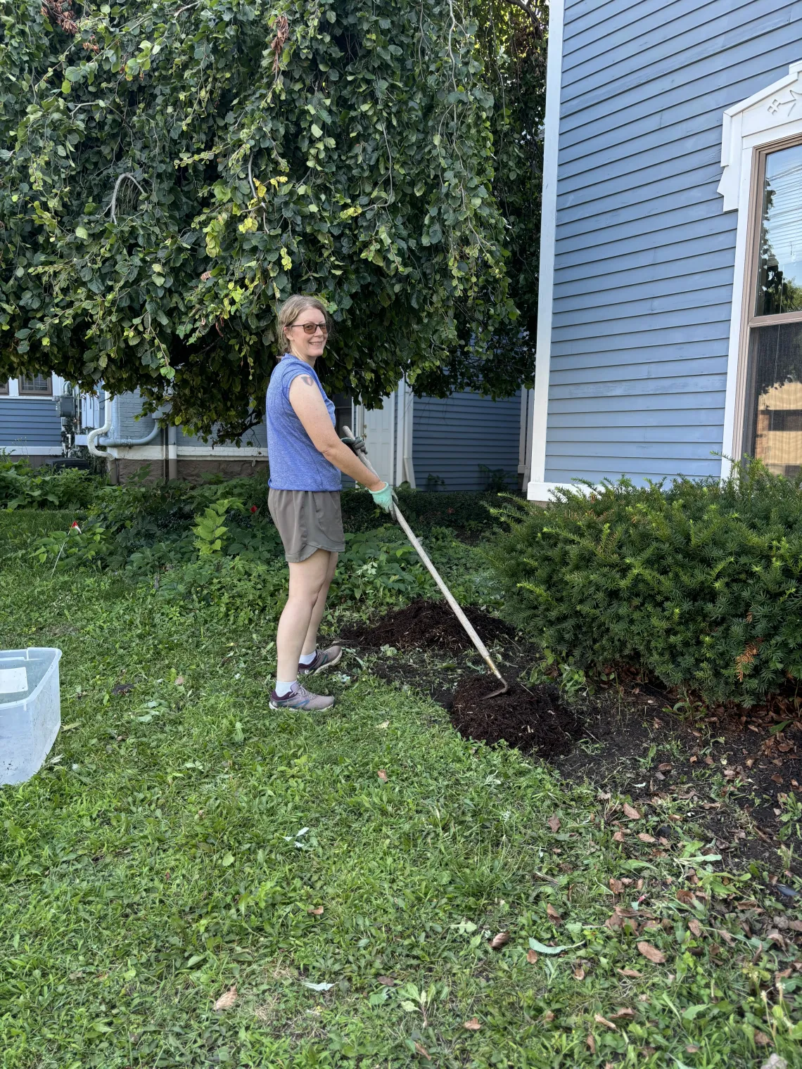 Garden Club member Sarah Garcia-Linz working next to The Big Blue House, using a rake to spread mulch in a garden bed between bushes