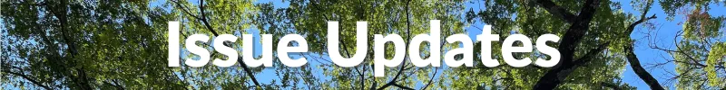 Issue Updates
