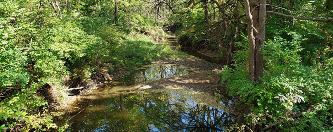 Kickapoo Creek