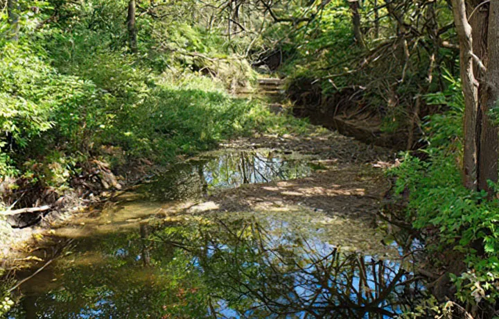 Kickapoo Creek