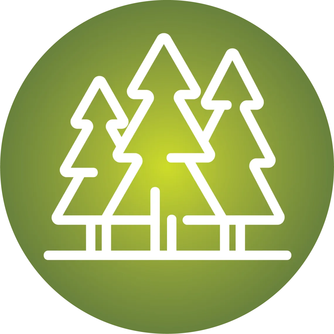Protecting Forests
