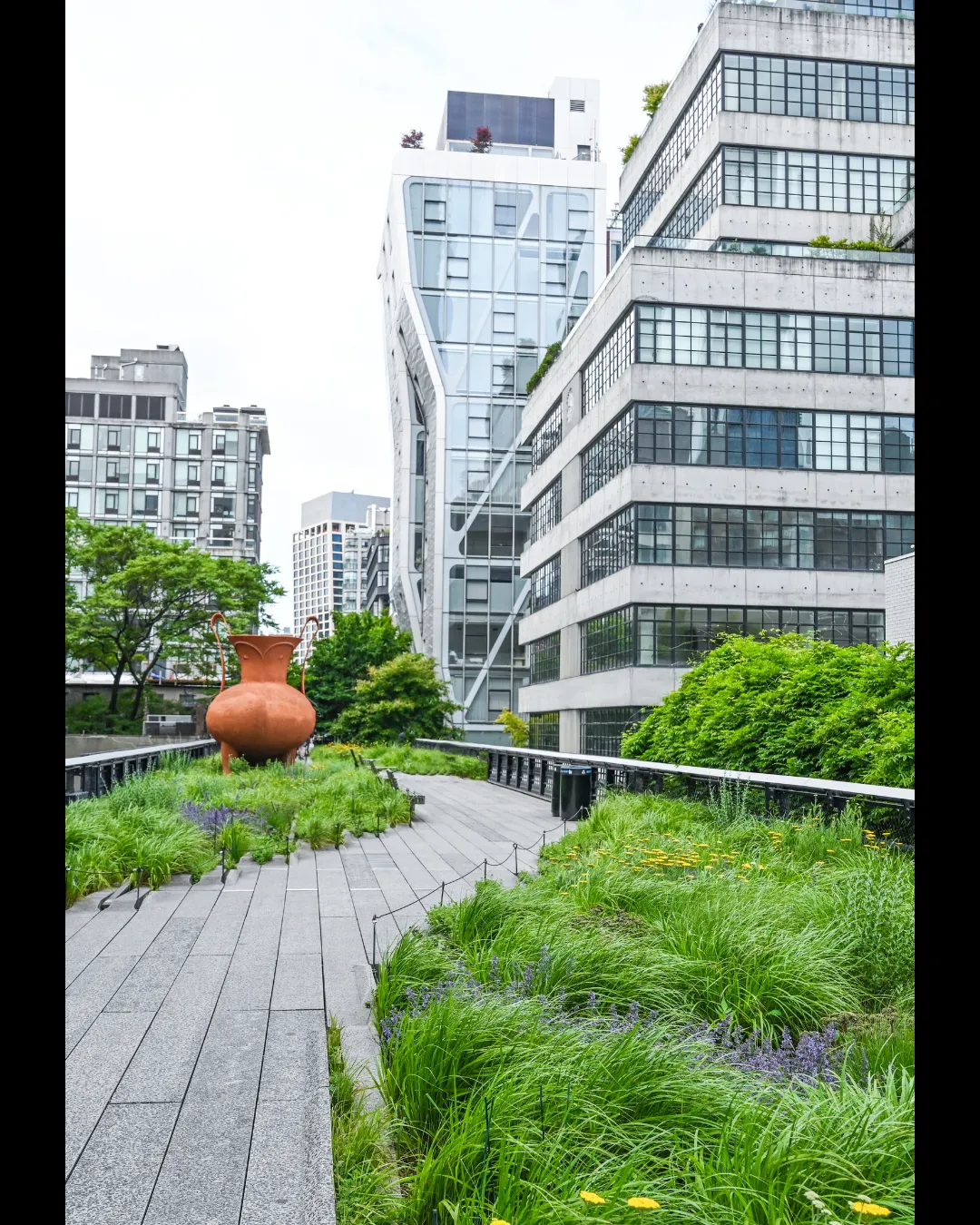 An elevated boardwalk with green plants either side, and high-rise buildings built with concrete and glass in the near background