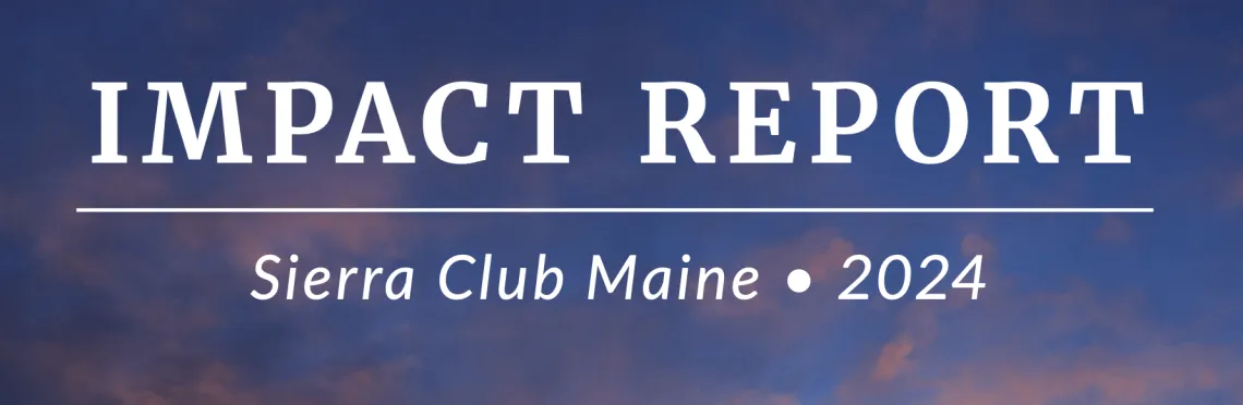 2024 Impact Report