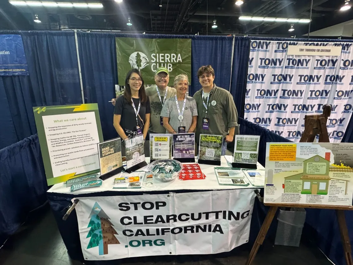 Clearcutting volunteers