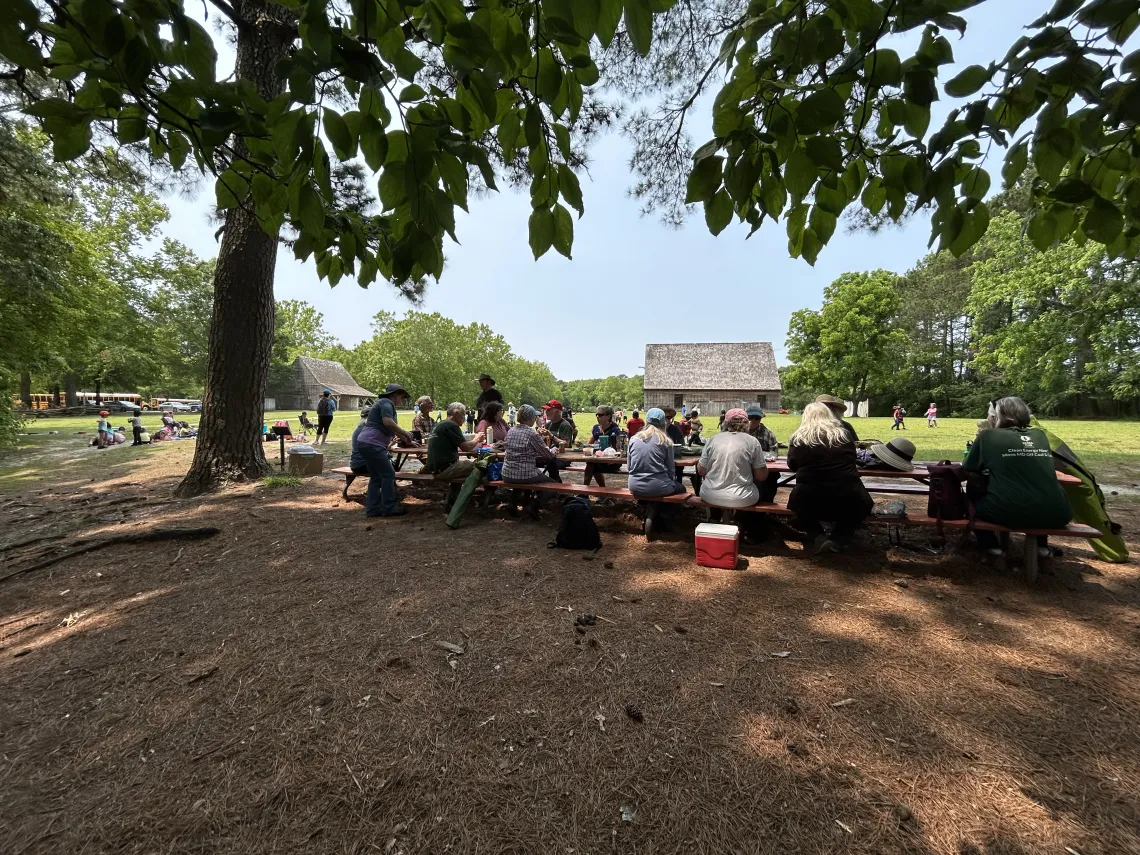 Picnic
