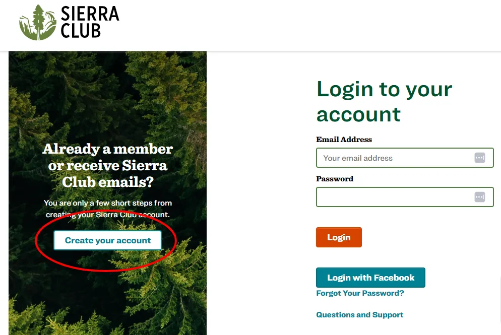 Create your account