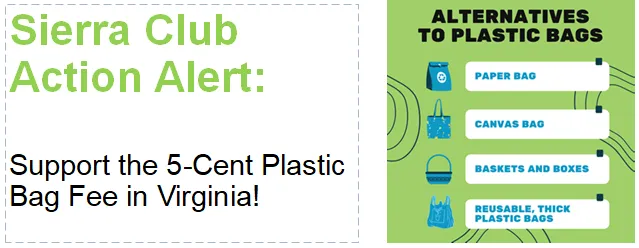 Alternatives to Plastic Bags