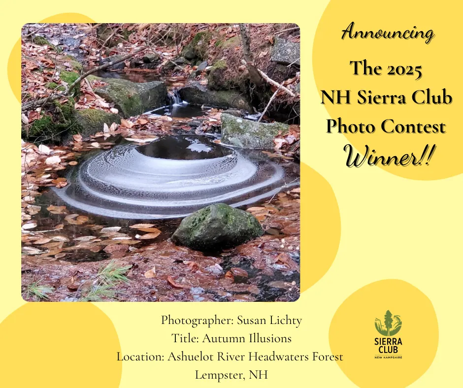 2025 Annual Photo Contest Winner Announcement